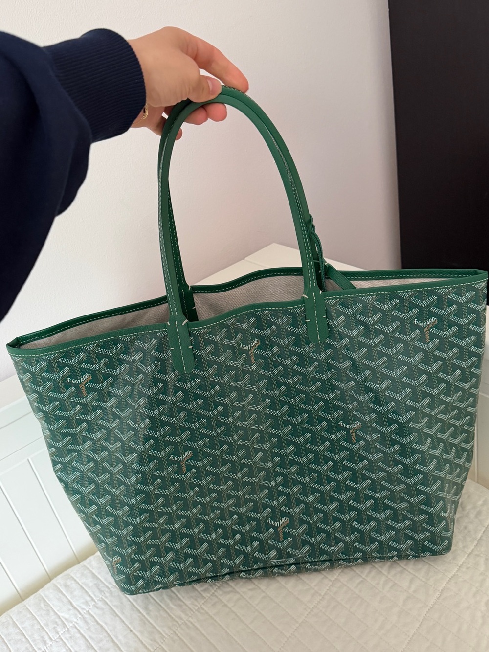 Goyard St Louis PM Green
